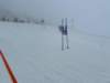 img20240218wa0182_small.jpg