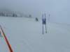 img20240218wa0185_small.jpg