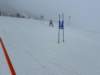 img20240218wa0190_small.jpg