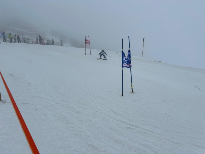 img20240218wa0195.jpg