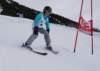img20250216wa0070_small.jpg