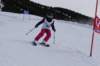 img20250216wa0077_small.jpg