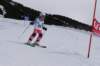 img20250216wa0078_small.jpg