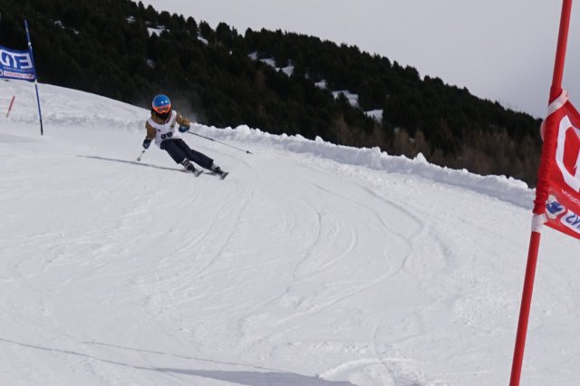 img20250216wa0088.jpg