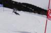 img20250216wa0088_small.jpg