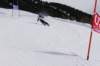 img20250216wa0089_small.jpg