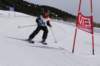 img20250216wa0096_small.jpg