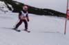 img20250216wa0103_small.jpg