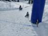 _100950_small.jpg