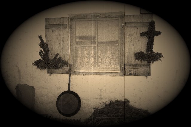 Photograph