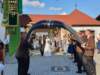 img20200919wa0006_small.jpg