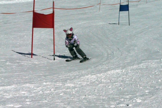 p1180793.jpg