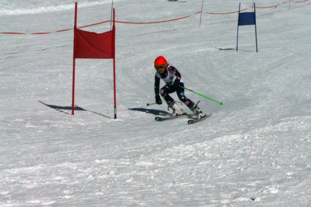 p1180800.jpg