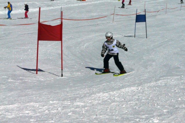 p1180801.jpg