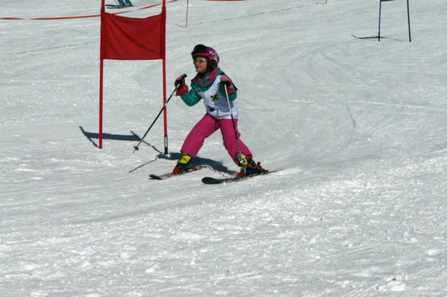 p1180815.jpg