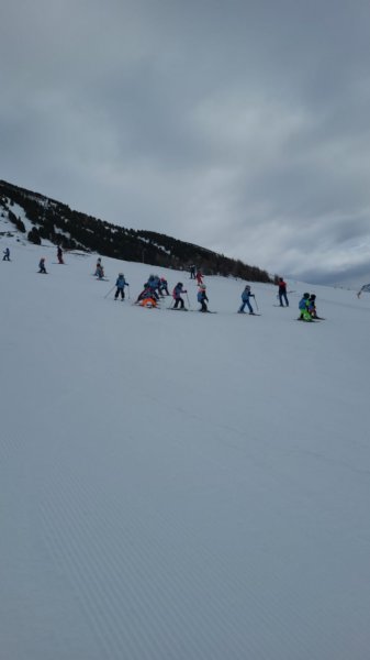 img20240214wa0011.jpg