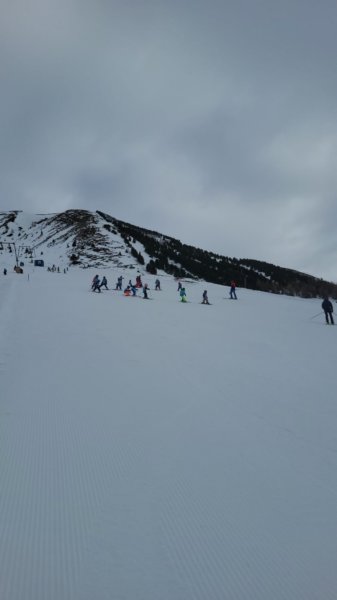 img20240214wa0014.jpg