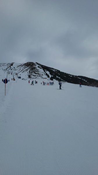 img20240214wa0015.jpg