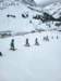 img20240214wa0021_small.jpg