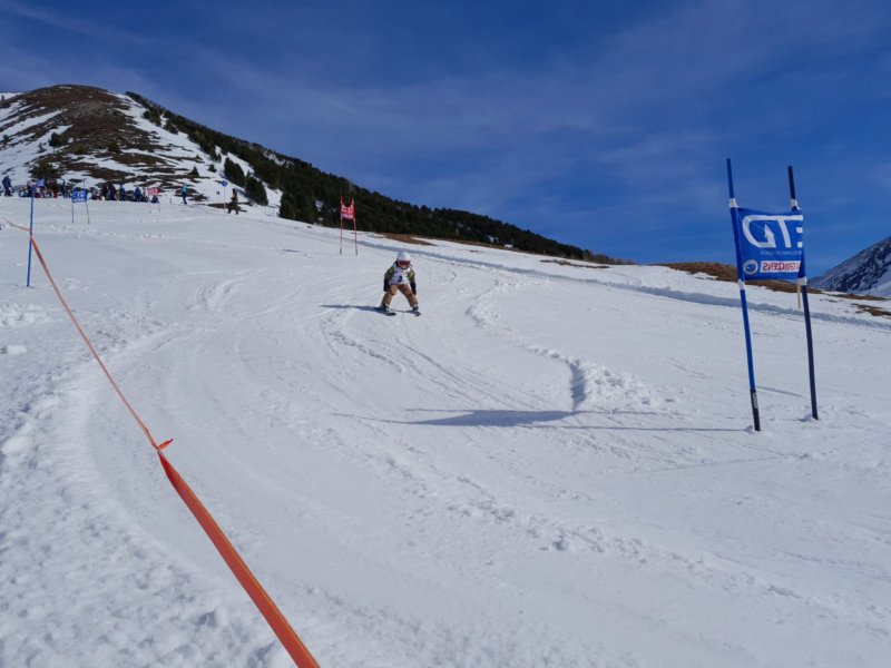 img20240216wa0003.jpg