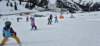 img20250211wa0038_small.jpg