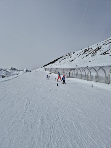 img20250211wa0049.jpg