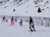 img20250211wa0056_small.jpg