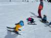 img20250211wa0068_small.jpg