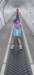 img20250212wa0027_small.jpg