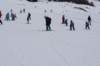 img20250212wa0044_small.jpg
