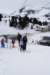 img20250212wa0069_small.jpg