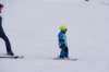 img20250212wa0071_small.jpg
