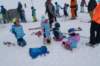 img20250212wa0074_small.jpg