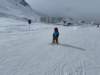 img20250213wa0008_small.jpg