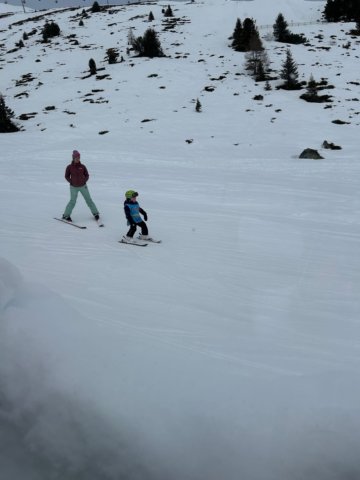img20250213wa0014.jpg