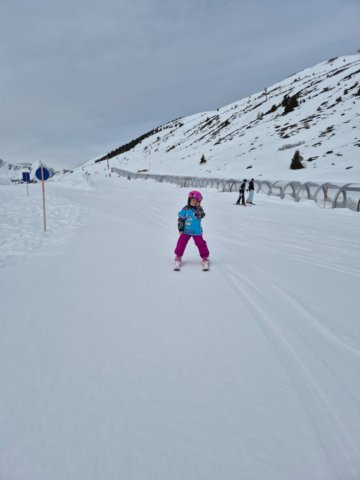 img20250213wa0026.jpg