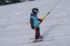 img20250213wa0035_small.jpg