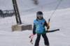 img20250213wa0036_small.jpg