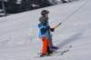 img20250213wa0038_small.jpg