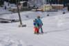 img20250213wa0039_small.jpg