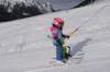 img20250213wa0040_small.jpg