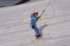img20250213wa0045_small.jpg