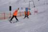 img20250214wa0005_small.jpg