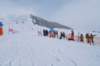 img20250214wa0006_small.jpg