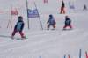 img20250214wa0008_small.jpg