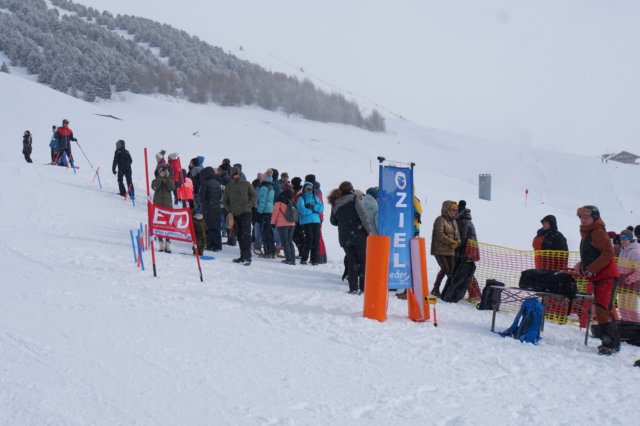 img20250214wa0009.jpg