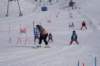 img20250214wa0010_small.jpg