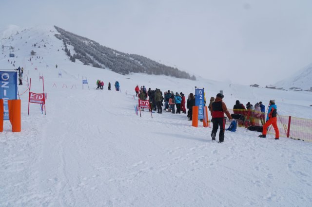img20250214wa0011.jpg