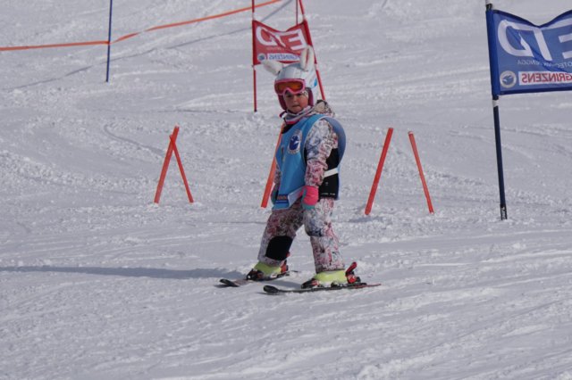 img20250214wa0020.jpg
