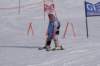 img20250214wa0020_small.jpg